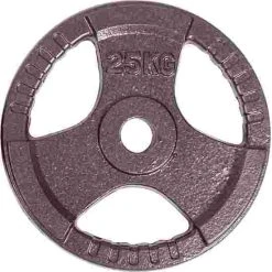 Sport-Thieme Competition Cast Iron Weight Disc 14 Sport-Thieme Competition Cast Iron Weight Disc -Sport-Thieme Shop 146 2366