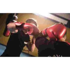 Sport-Thieme "Knock Out" Boxing Gloves -Sport-Thieme Shop 150 4037 1 1
