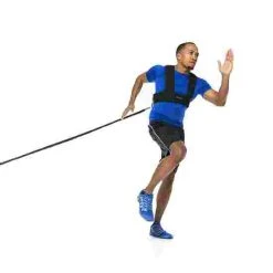 Artzt Vitality HRT 2.5 M